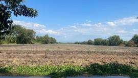 Land 108rai for sale  banna nakornnayok