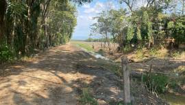 Land 108rai for sale  banna nakornnayok