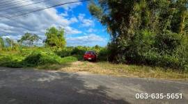 ขายยกแปลง 29 ไร่ 2 งาน 84 ตรว ที่สวย ต.เกาะโพธิ์ อ.ปากพลี จ.นครนายก ทางเข้าติดถนนลาดยางประมาณ 20 เมตร