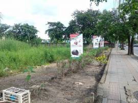 land for sale nimitmai 14 and 16 13rai 33 square wah