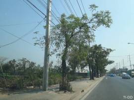 ที่ดิน  13ไร่  33ตรว ติดถนน นิมิตใหม่