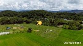 ขายที่สวย ถูก ดี ที่ดินเชิงเขา โฉนดแบ่งแยกเรียบร้อยพร้อมโอน ต.ศรีนาวา อ.เมืองนครนายก การเดินทางสะดวก ใกล้โซนแหล่งท่องเที่ยว