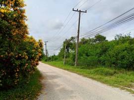 ขายที่ดิน ขายฟาร์ม 303ไร่ ขายพร้อมสิ่งปลูกสร้าง พร้อมใบอนุญาต แก่งคอย สระบุรี 