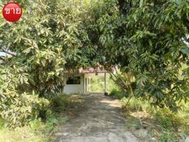 ขายที่ดิน 3,410,000บ. นนทบุรีที่ดิน341ตรว.บ้านสวนใกล้กรุงเทพ หนองเพรางาย, ไทรน้อย, นนทบุรี