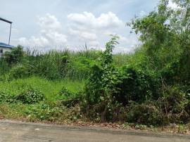 ที่ดินเปล่า 79 ตรว. ซ.ราษฎร์อุทิศ 10 มีนบุรี กรุงเทพฯ 