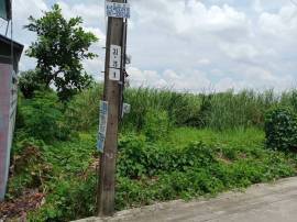 ที่ดินเปล่า 79 ตรว. ซ.ราษฎร์อุทิศ 10 มีนบุรี กรุงเทพฯ 