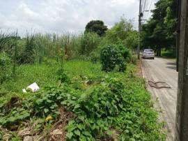 ที่ดินเปล่า 79 ตรว. ซ.ราษฎร์อุทิศ 10 มีนบุรี กรุงเทพฯ 