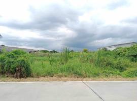 ขายที่ดิน 5-0-72 ไร่  ถนนจันทร์ทองเอี่ยม 