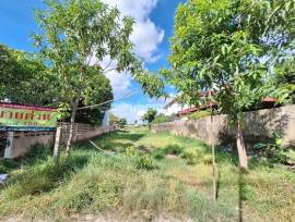 ขายที่ดิน 3 แปลง ต.ย่านซื่อ อ่างทอง ทำเลสวย ฮวงจุ้ยดี ติดแม่น้ำเจ้าพระยา เนื้อที่ 443 ตรว - ghd000021