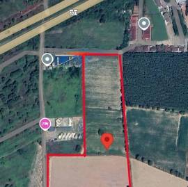 ขายด่วนที่ดินใกล้นิคมเกตเวย์แปลงยาวฉะเชิงเทรา 25-1-78 ไร่ โฉนดครุฑแดง พื้นที่ สีเหลือง