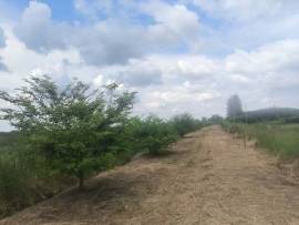  ที่ดินเปล่าทำเลทอง! นครชัยศรี ขายถูกกว่าตลาดมาก ที่ตั้ง: ต.บางแก้วฟ้า อ.นครชัยศรี จ.นครปฐม ห่างจาก ทางด่วนกาญจนาภิเษกเพียง 1.6 กิโลเมตร