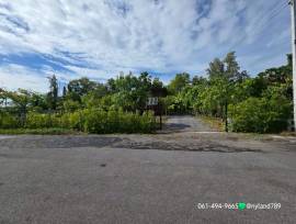 ขายบ้านสวนเดินทางง่าย ใกล้ มศว.องครักษ์ ย่านคลอง 16 บ้านไม้นกพื้นสูง หันทิศเหนือ การเดินทางสะดวกสบาย