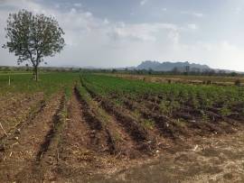 ขายที่ดินเกษตร 5 ไร่ 49 ตร.ว. ใกล้ชุมชน ติดทางรถไฟ อ.ชัยบาดาล จ.ลพบุรี