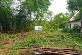 ที่ดินเปล่า ซอยคลองหกตะวันออก 98/1  ถ.รังสิต-นครนายก คลองหลวง ปทุมธานี