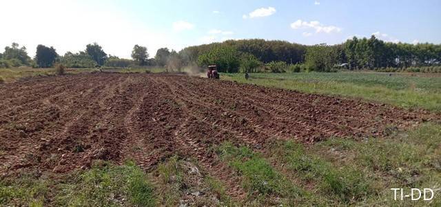 โปรปังทรัพย์ดีปลายปี68  ที่ติดแม่น้ำโขง ต.กุดบง อ.โพนพิสัย จ.หนองคาย  หลังติดแม่น้ำโขง ไร่ละ 2ล้านบาท โทร 096-882-1857