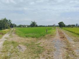 ด่วนที่ดินราคาถูกพานทองชลบุรี ขายที่ดินราคาถูกมาบโป่งพานทองชลบุรี  มาบโป่ง พานทอง  ชลบุรี บนเนื้อที่   2  ไร่