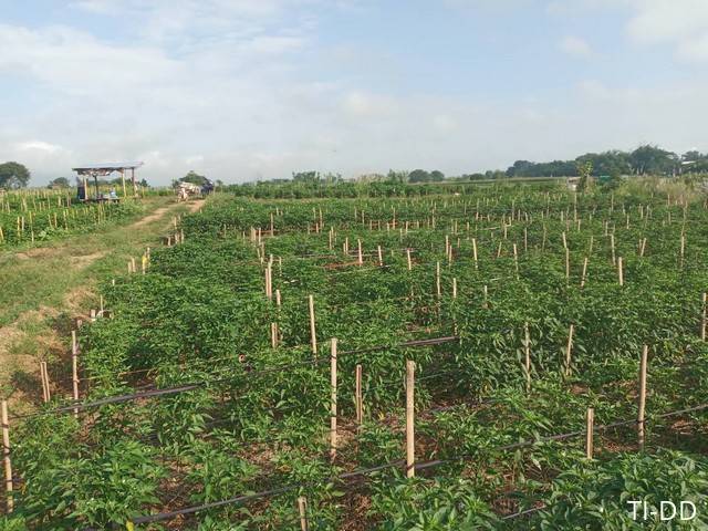 โปรปังทรัพย์ดีปลายปี68 ที่สวยติดแม่น้ำน่าน น้ำใสไหลรินตลอดปี  ต.ศรีภูมิ อ.ท่าวังผา จ.น่าน ขาย 800000  วิวดีสวยมาก 0968821857