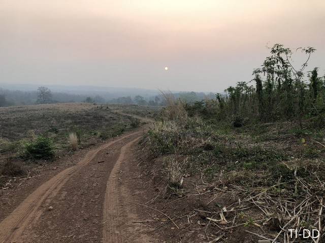 โปรปังทรัพย์ดีปลายปี68 ธรรมชาติเนินเขา ที่ดินโฉนดแบ่งขาย หล่มเก่า เพชรบูรณ์ ใกล้ภูทับเบิก โทร 0968821857