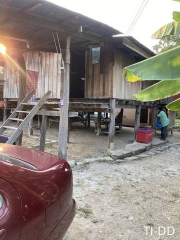 โปรปังทรัพย์ดีปลายปี68 ขายบ้านไม้ จ.สิงห์บุรี  วิถีไทย  ต.โพทะเล วิถีไทย 262 วา ต.โพทะเล อ.ค่ายบางระจัน สิงห์บุรี 500000บาท