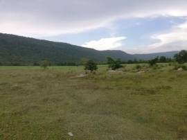 โปรปังทรัพย์ดีปลายปี68  ขายที่ดินสวยติดภูเขา เทือกเขายาวเรียงแนว ดินดีสมบูรณ์ทรัพย์ในดิน ฟ้าใสวิวหลักล้าน ต.นาจาน อ.สีชมพู จ.ขอนแก่น 