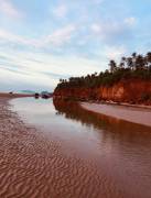 โปรปังทรัพย์ดีปลายปี68  ขายที่ดิน 4 ไร่ๆละ 2.8-3.5ล้านบาท ค่าใช้จ่ายในการโอน 50/50