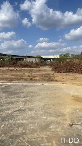 ขายและให้เช่าที่ดินพร้อมใบอนุญาต105 และ 106 ที่ดินพนัสชลบุรี พื้นที่ Free Zone ค่าเช่าที่ดินไร่ละ 15,000 บาท /เดือน