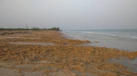 ขายด่วนที่ดินติดทะเล ตำบลบ่อนอก อำเภอเมืองประจวบคีรีขันธ์ จังหวัดประจวบคีรีขันธ์  