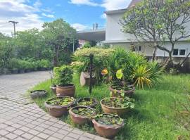 ขายที่ดินพร้อมบ้าน 2 หลัง หมู่บ้านเมืองเอก, ใกล้ตลาดสัมมากร, มหาวิทยาลัยรังสิต  