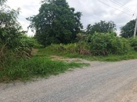 ที่ดินบ้านพร้อมโอนเจ้าของขายเอง ที่ปากช่อง 2ไร่- 8ไร่ โฉนด ต.วังไทร อ.ปากช่อง จ.นครราชสีมา ไร่ละ  2.9 ลบ.สูงจากระดับน้ำทะเลมาก น้ำไฟพร้อม