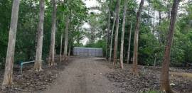 ขายที่ดิน 30 ไร่ พร้อมสวนสักทอง ลำไย ลิ้นจี่ ทุเรียน ยางพารา ต.ทรายขาว สอยดาว จันทบุรี ที่ดินเนื้อที่ 30 ไร่