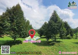 ขายสวนทุเรียน 4 ไร่ ใกล้ซอย 10 มีทุเรียนหมอนทองประมาณ 80 ต้น​ ต้นทุเรียนสวยสมบูรณ์​ อายุทุเรียน​ 5 ปีกว่า​