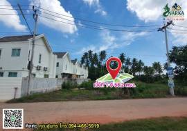 ขายที่ดินแปลงสวย ทำเลดี บางใบไม้ สุราษฎร์ธานี เลยซุปเปอร์ชีป เข้าทาง ครัวลุงมูล