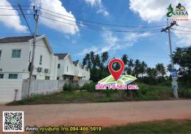 ขายที่ดินแปลงสวย ทำเลดี บางใบไม้ สุราษฎร์ธานี เลยซุปเปอร์ชีป เข้าทาง ครัวลุงมูล