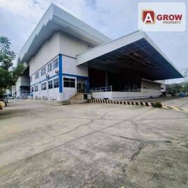 โกดัง/โรงงานให้เช่า ขนาด 5,508 ตร.ม. พื้นที่สีม่วง ซอยวัดบัวรอง พร้อมให้เข้าอยู่ 15/01/2026 (กำลังรีโนเวทใหม่)