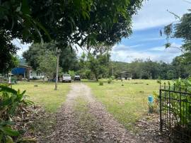 ขายด่วนที่ดิน เนื้อที่ทำสวนผลไม้ 15 ไร่ 54 ตารางวา มีบ้าน ให้ฟรี 1 หลัง ติดถนนดำ ต.เขาบายศรี อ.ท่าใหม่ จ.จันทบุรี 