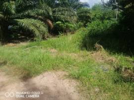 ขายที่ดินเปล่าติดถนนสร้างตนเอง 2 ใกล้มหาวิทยาลัยราชภัฏสุราษฎร์ธานี พิกัด: ถนนสร้างตนเอง 2 สายตรี ตำบลขุนทะเล