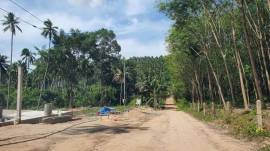 ขายที่ดินเกาะสมุย (หน้าเมือง) 1-0-30 ไร่ สุราษฎร์ธานี พิกัด: หน้าเมือง เกาะสมุย