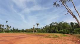 ขายที่ดินริมน้ำ แปลงละ 1 ไร่ เพื่อให้คุณได้สัมผัสสุนทรียภาพแห่งชีวิต ณ คลองร้อยสาย สุราษฎร์ธานี