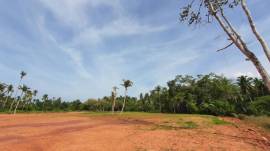 ขายที่ดินริมน้ำ แปลงละ 1 ไร่ เพื่อให้คุณได้สัมผัสสุนทรียภาพแห่งชีวิต ณ คลองร้อยสาย สุราษฎร์ธานี