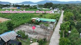 ขายที่ดิน ใกล้อ่างเก็บน้ำบางพระ วิวภูเขาสวย ศรีราชา ชลบุรี ไฟฟ้า ประปา สาธารณูปโภคครบ ขายที่ดินบางพระ ศรีราชา ชลบุรี 100 ตารางวา