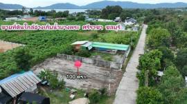 ขายที่ดิน ใกล้อ่างเก็บน้ำบางพระ วิวภูเขาสวย ศรีราชา ชลบุรี ไฟฟ้า ประปา สาธารณูปโภคครบ ขายที่ดินบางพระ ศรีราชา ชลบุรี 100 ตารางวา