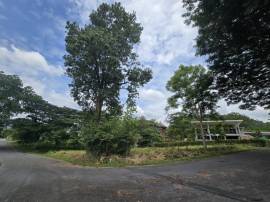 ที่ดิน ภูภัทรา เขาใหญ่  290 ตาราง.วา  4638400 บาท ใกล้กับ พีบีวัลเลย์  คุ้มค่าคุ้มราคา