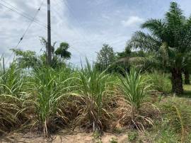 ขายที่ดินพร้อมโรงงานรีไซเคิ้ล ขนาด 250ไร่ ติดภูเขา มีบ่อน้ำ ผังสีเหลือง โกดัง บ้านจัดสรร ใกล้ถนนบ้านบึง 3138 ราคาถูก คลองกิ่ว บ้านบึง ชลบุรี