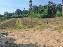 ที่ดินเปล่า 1-1-9.3 ไร่ ต.ดอนรวก อ.ดอนตูม จ.นครปฐม ใกล้โรงเรียนวัดห้วยกรด