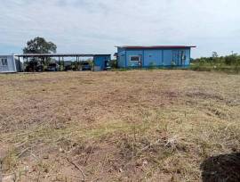 ด่วน ขายขาดทุนยับ ถูกกว่าแปลงติดกันครึ่งนึง ที่ดินติดถนนลาดยางในซอย ต.วังกระโจม อ.เมืองนครนายก โฉนดครุฑแดง