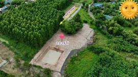 ขายที่ดินขนาด 2ไร่ 219ตรว เหมาะทำสวนเกษตร สร้างบ้าน บ้านพักยามเกษียณ มีบ่อน้ำ ที่ถมแล้ว ใกล้สี่แยกพนัส ใกล้วัดนามะตูม พนัสนิคม ชลบุรี