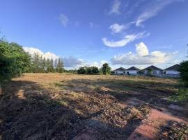 ขายด่วนที่ดิน รวม 8 ไร่ 3 ตร.วา  ที่ดินตั้งอยู่ที่บ้านหนองตะคลอง ต.ตลาด อ.เมือง จ.นครราชสีมา