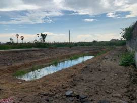 ขายที่ดินขนาด 177 ตรว ซอยสถาพร ที่ถมแล้ว เหมาะปลูกบ้าน โกดัง หอพัก ใกล้ถนนสุขุมวิท ใกล้โรงพยาบาลเอกชน2 เสม็ด ชลบุรี