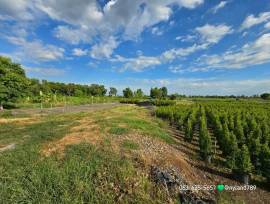 ขายที่สวยติดคลอง หลังมศว.องครักษ์ ขายรวม 2 โฉนด ทำเลดี ค้าขายได้ ถมแล้วบางส่วน การเดินทางสะดวกสบาย