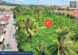 ที่ดินทำเลทอง ใจกลางเมืองสุราษฎร์ธานี ผืนใหญ่ ใกล้ Central คุ้มสุดในย่านนี้